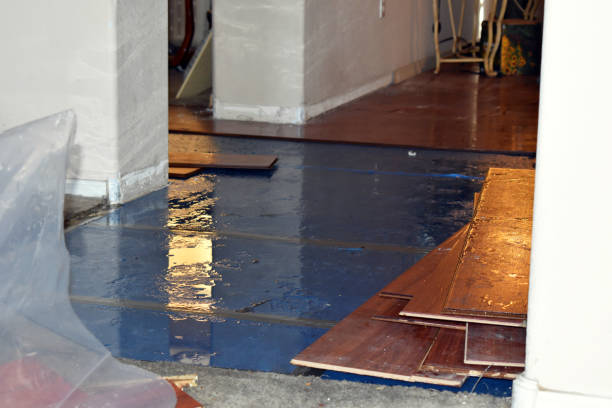 Professional Sewage Cleanup technician working in Goldsmith, TX
